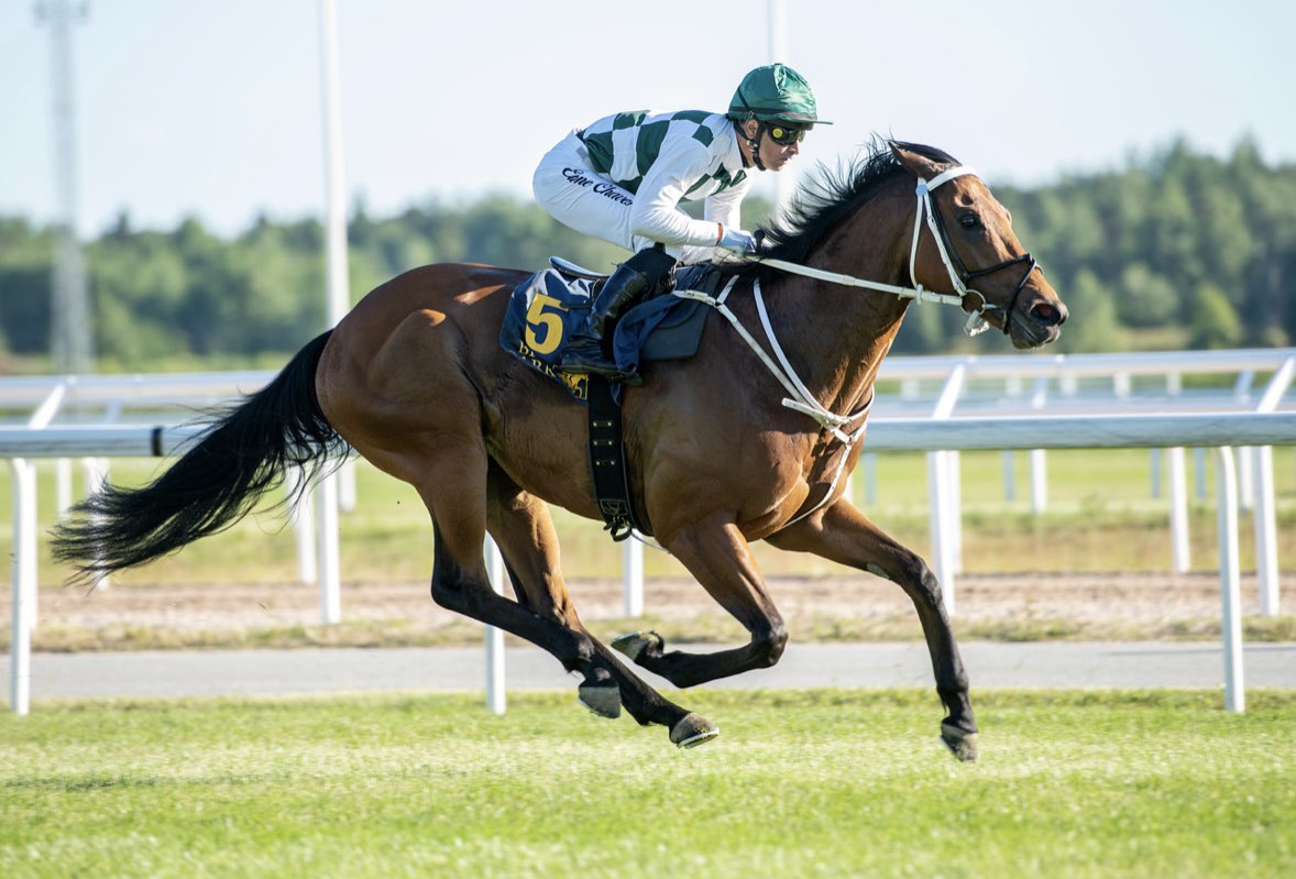 ElioneChaves's tweet photo. Aphelios wins  the Challenge Stakes ( L )🏆 
Well Done to all winning Connection and Thankyou to everyone involved ☺️🙌🏼 https://t.co/71FTf7HJeu