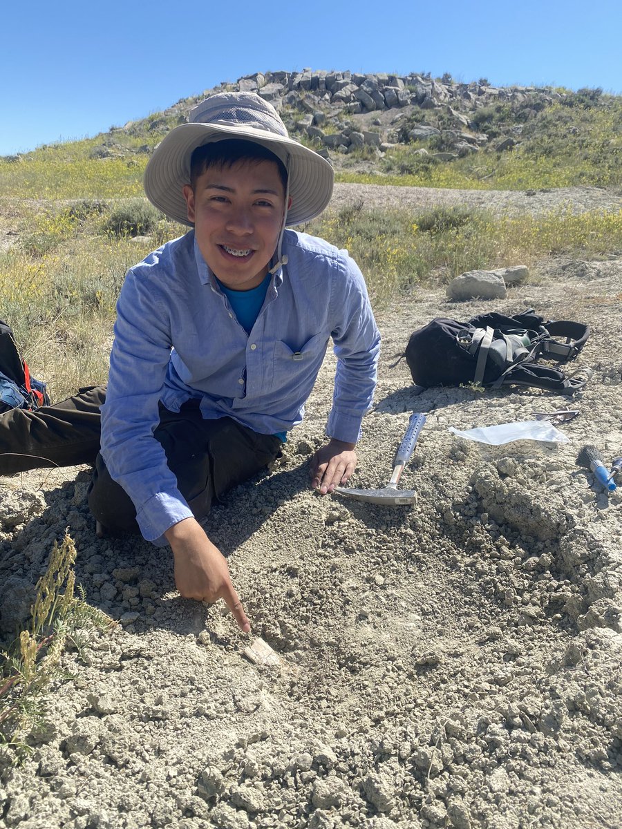 Megan Whitney tweet media