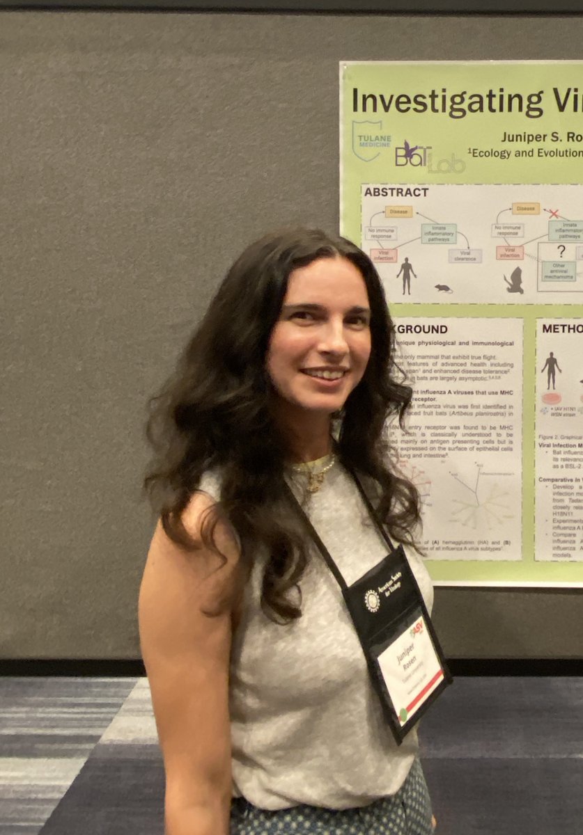 More bats and mechanisms of immune tolerance. Nicely done <a href="/JuniperRosen/">Juniper Rosen</a>! #ASV2024 #LoveVirology👏🏾 🦇