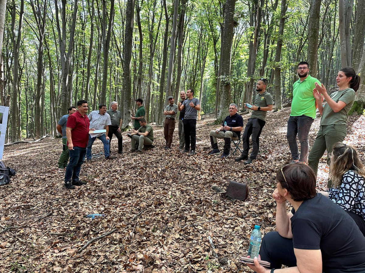 Forest Design SRL (@forest_designro) on Twitter photo 🌲 Noutăți entuziasmante de la Small4Good! 🌲 Tocmai am încheiat prima întâlnire de proiect în inima pădurilor României, destinată sprijinirii micilor proprietari de păduri cu practici durabile. #Small4Good #GestionareDurabilă #Biodiversitate #Bioeconomie 🌲 Noutăți entuziasmante de la Small4Good! 🌲 Tocmai am încheiat prima întâlnire de proiect în inima pădurilor României, destinată sprijinirii micilor proprietari de păduri cu practici durabile. #Small4Good #GestionareDurabilă #Biodiversitate #Bioeconomie