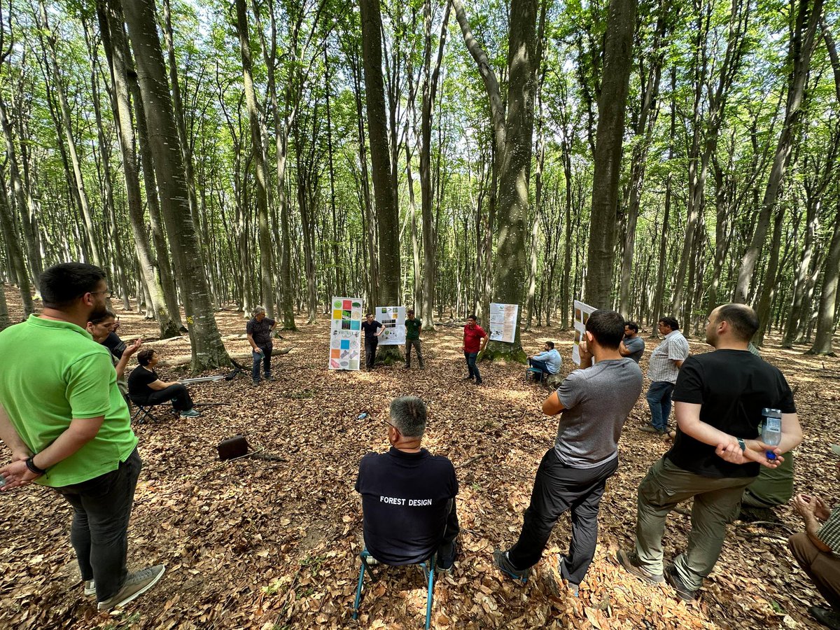 Forest Design SRL tweet media