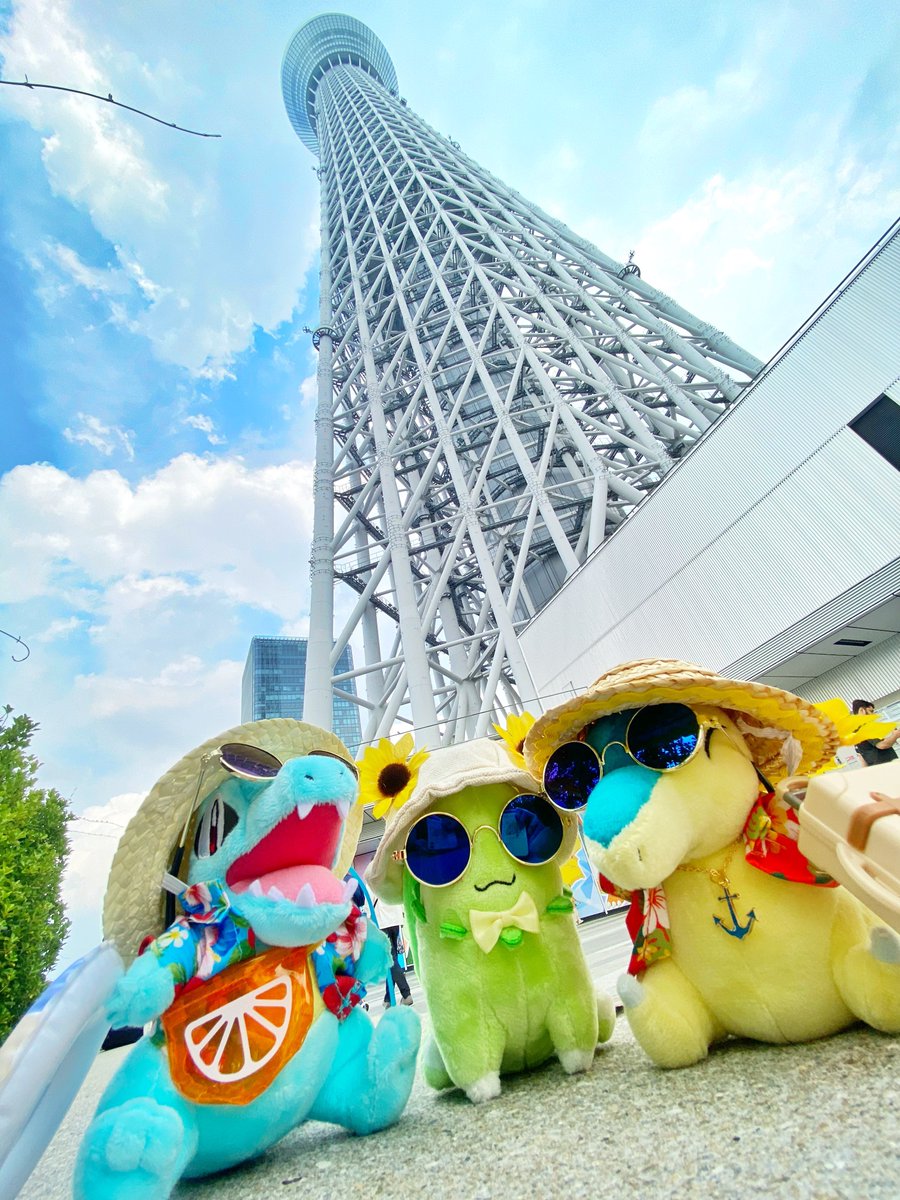 ヒノッチ tweet media