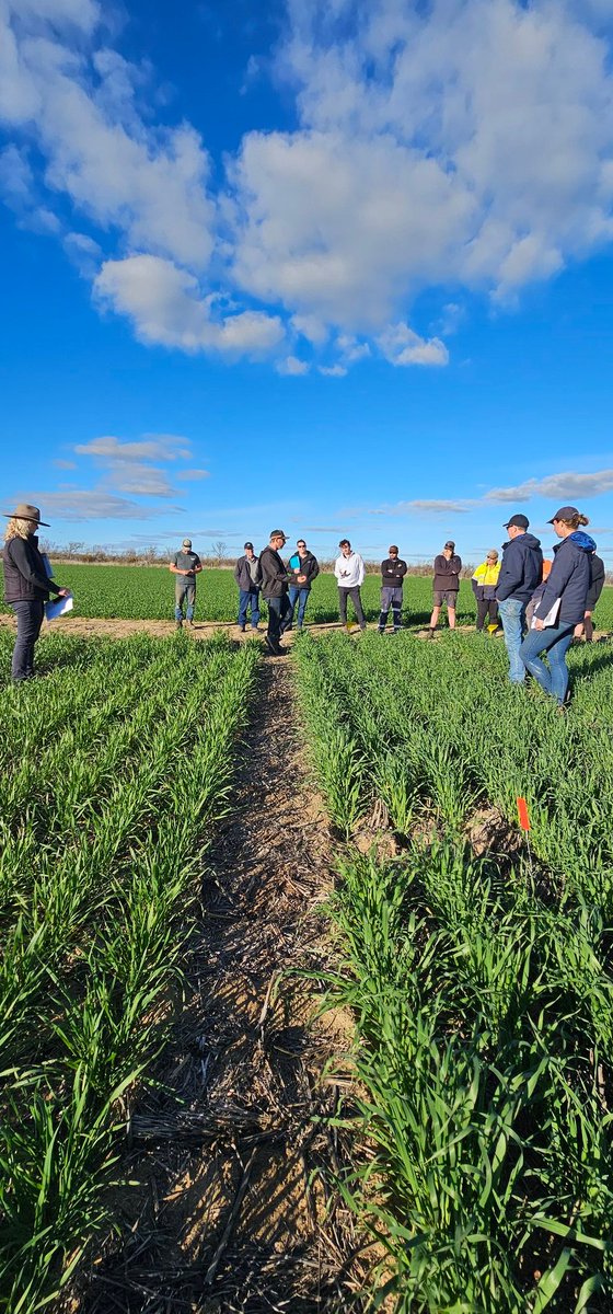 Alexandra Taylor tweet media