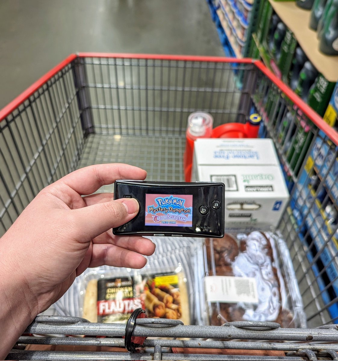 emblastoons's tweet image. I love handhelds idk 😌