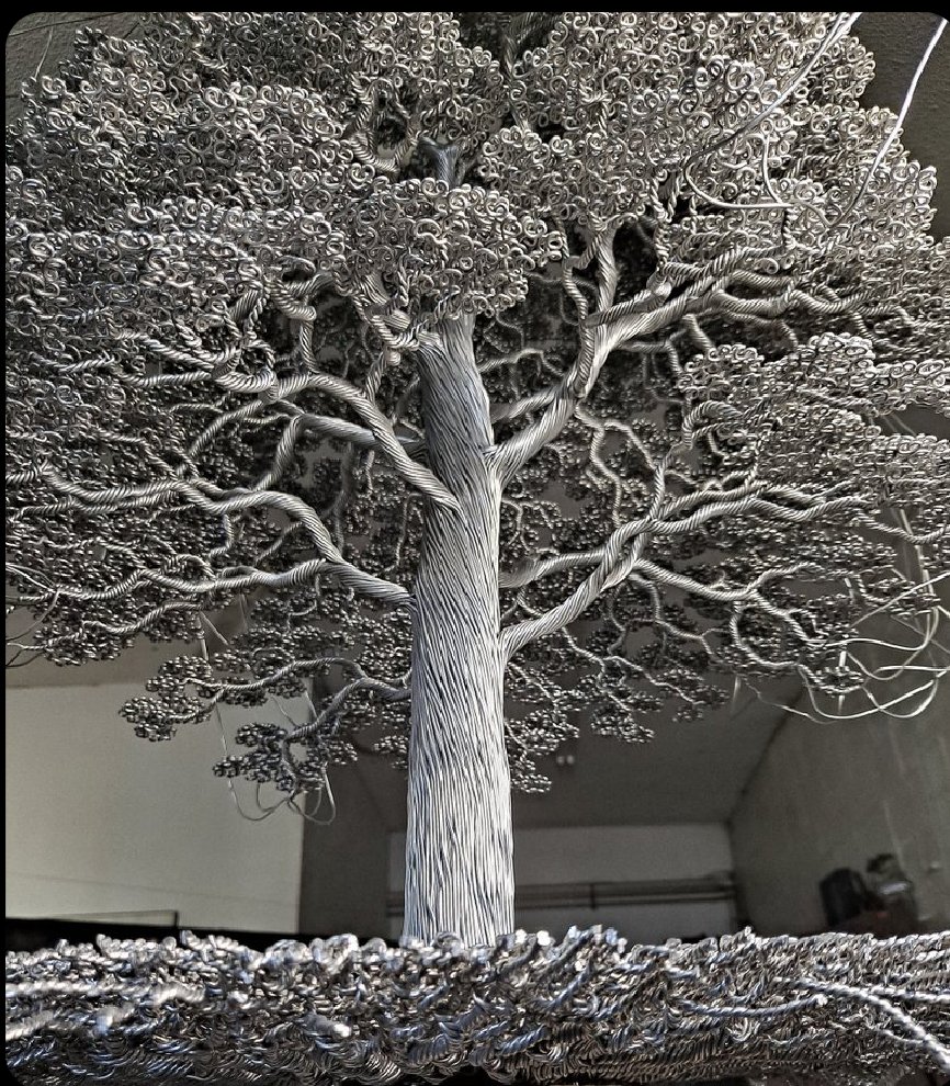 kaitrees's tweet image. 