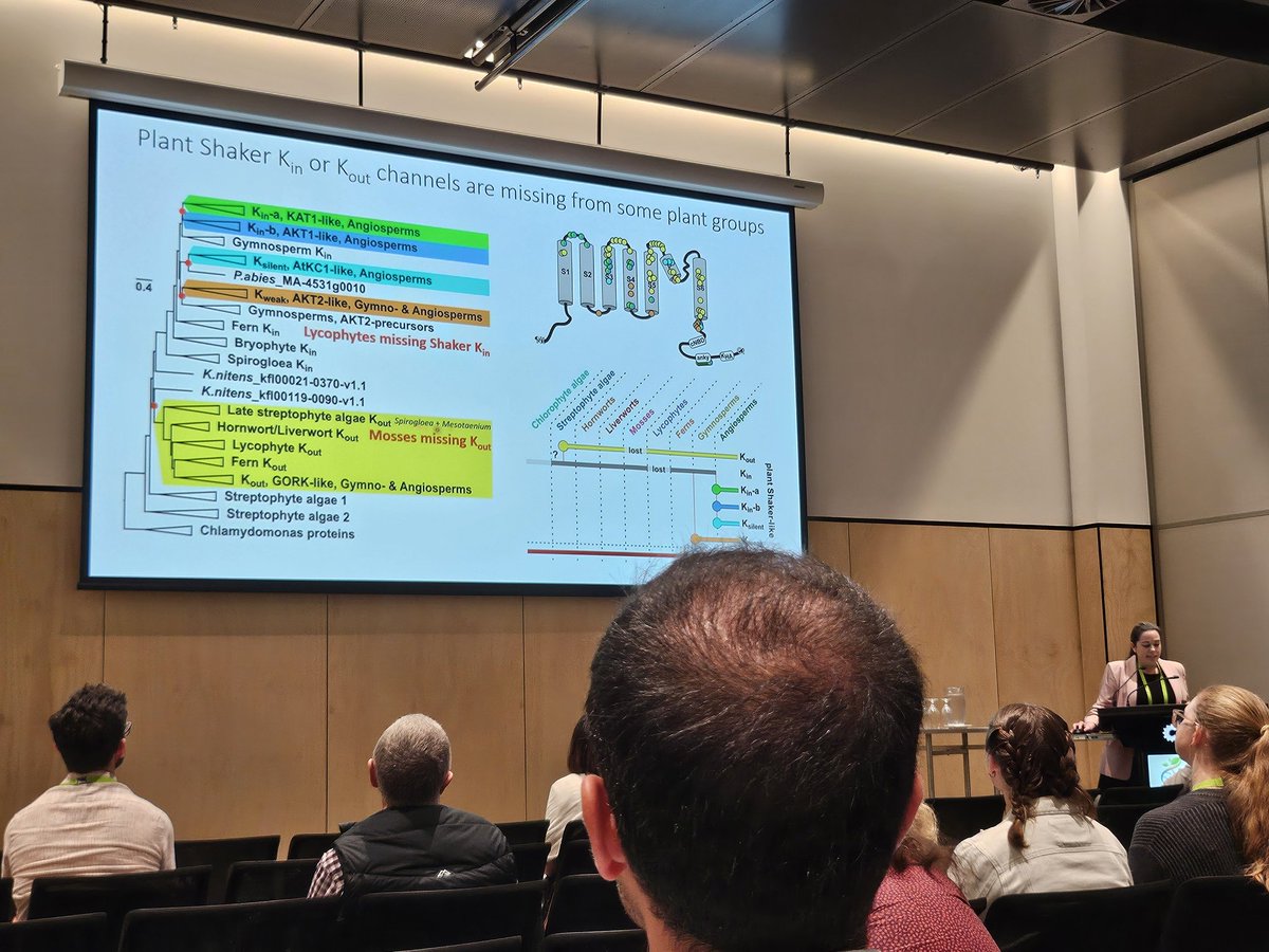 <a href="/DrSussmilch/">Dr Frances Sussmilch</a> just delivered a great talk on mechanisms controlling stomatal movements in diverse land plants <a href="/ipmb2024/">IPMB2024</a>