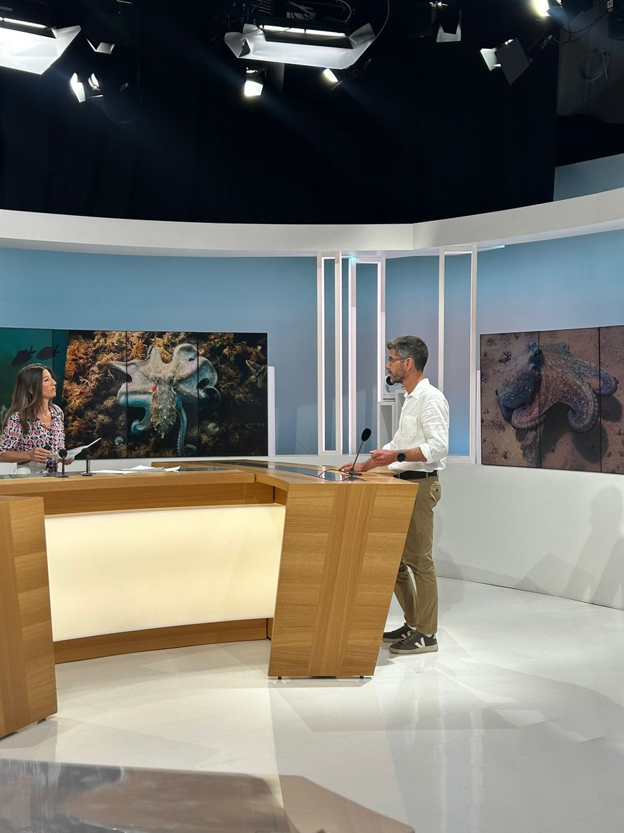 Franck Bessiere (@franckbessiere) on Twitter photo A <a href="/France3Provence/">France 3 Provence</a> pour parler de l'exposition Vivre en pieuvre au Fort Balaguier à <a href="/laseynesurmer/">La Seyne-sur-Mer</a>
Ps: C'est court 🙈
Replay disponible sur ce lien france3-regions.francetvinfo.fr/provence-alpes… émission du 25/06 à 15 minutes.
Photo Clara A <a href="/France3Provence/">France 3 Provence</a> pour parler de l'exposition Vivre en pieuvre au Fort Balaguier à <a href="/laseynesurmer/">La Seyne-sur-Mer</a>
Ps: C'est court 🙈
Replay disponible sur ce lien france3-regions.francetvinfo.fr/provence-alpes… émission du 25/06 à 15 minutes.
Photo Clara