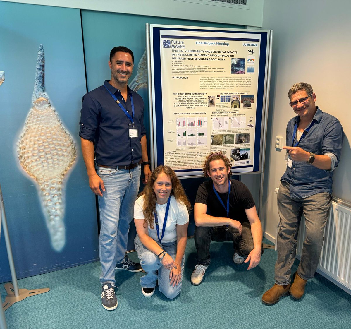 What the furure holds for #seaurchine in the #Mediterranean?
 For the final meeting of <a href="/FutureMares/">FutureMARES</a> the <a href="/RilovL/">Rilov Lab</a> &amp; <a href="/rilovg/">Gil Rilov</a>  made it all the way to #NIOZ to present the long term monitoring of #seaurchines
 🌊
