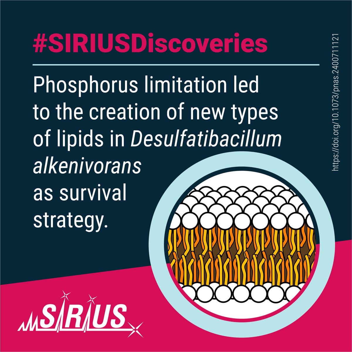 Bright Giant (@bright_giant) on Twitter photo Studying how #bacteria adjust their #lipid composition under different environmental and nutrient stresses. MS2 data analysis assisted by #SIRIUS_MS for identification of lipids.
📄 doi.org/10.1073/pnas.2…
💡 More #SIRIUSDiscoveries: bright-giant.com/discoveries/
#Lipidomics Studying how #bacteria adjust their #lipid composition under different environmental and nutrient stresses. MS2 data analysis assisted by #SIRIUS_MS for identification of lipids.
📄 doi.org/10.1073/pnas.2…
💡 More #SIRIUSDiscoveries: bright-giant.com/discoveries/
#Lipidomics