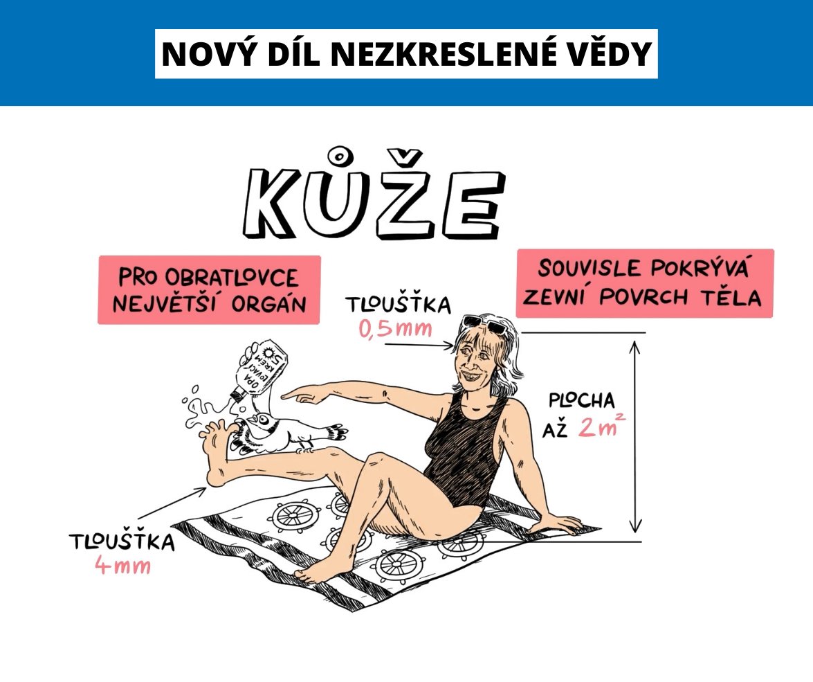 💆Chcete se dozvědět, proč se nám s věkem tvoří vrásky? 
🔹Jak vznikají melanomy? 
🖐🏻 Jak silná je lidská kůže? A kde je nejtenčí? 

👀 Podívejte se na další epizodu deváté série vzdělávacího cyklu Akademie věd ČR

✍ NEZkreslená věda nazvanou Jak funguje lidská kůže. Odborným