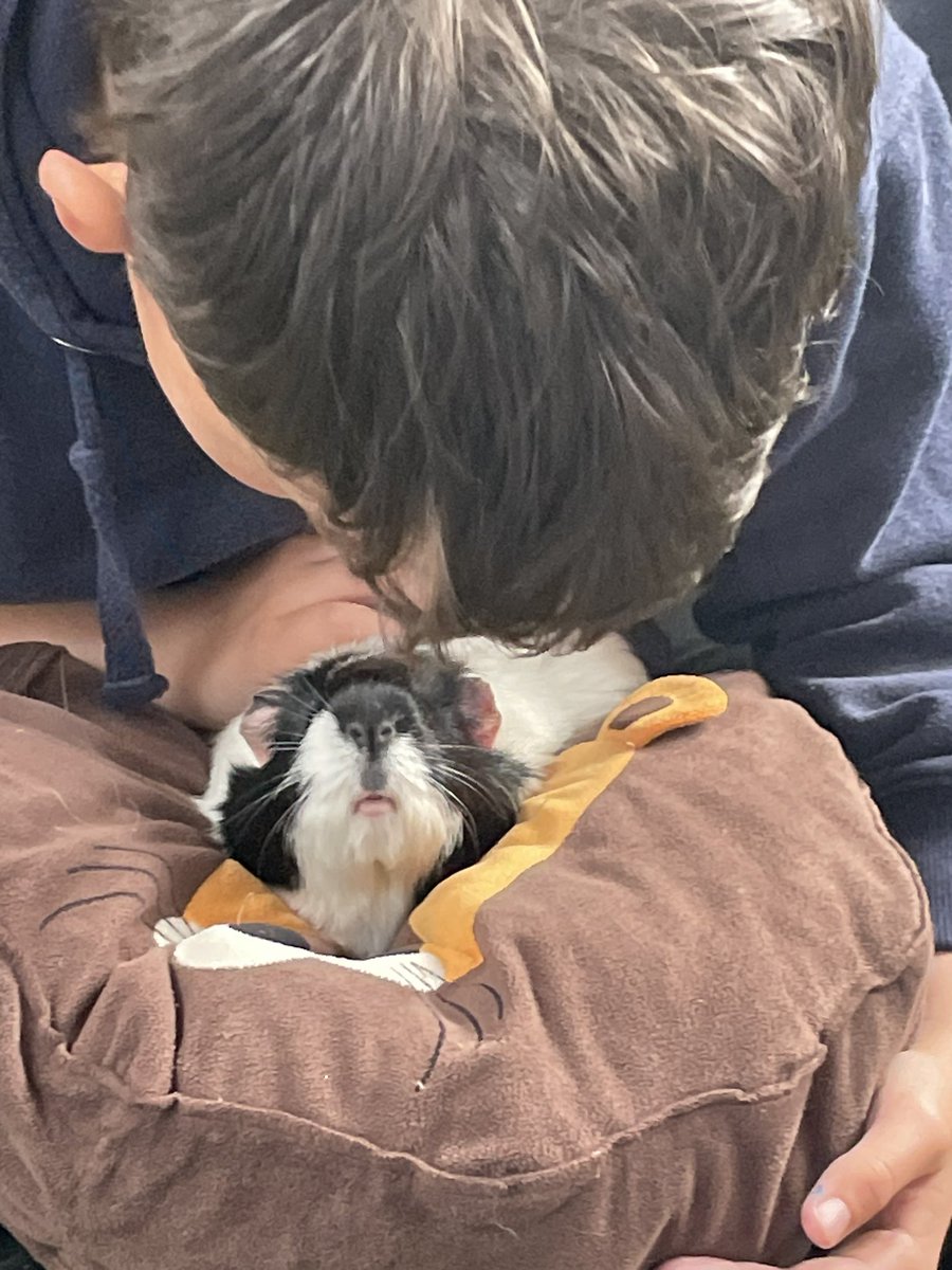 BowerSchool's tweet photo. School trip! Had a brilliant morning visiting Caithness Animal Farm! Highly recommend these guys, all pupils loved the animals and the fantastic set up they have to cater for all 💯 https://t.co/CeFr8EyCvC
