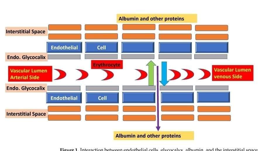 RECAT👩🏽⚕️🏥👨🏽⚕️🇲🇽🫀 tweet media