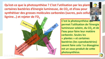 Planet-Terre tweet media