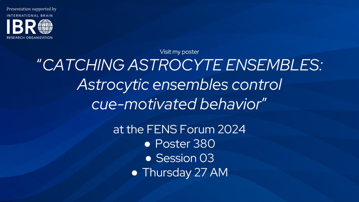 Irene Serra Hueto (@irene_ish) on Twitter photo Can we manipulate functionally-specific astrocytes to shape behavior? ✨Come tomorrow 27AM to poster 380 for great discussion and details✨
Very grateful for the support of <a href="/IBROorg/">IBRO - International Brain Research Organization</a> who awarded this work to attend #FENSForum2024 #IBROTravelGrant Can we manipulate functionally-specific astrocytes to shape behavior? ✨Come tomorrow 27AM to poster 380 for great discussion and details✨
Very grateful for the support of <a href="/IBROorg/">IBRO - International Brain Research Organization</a> who awarded this work to attend #FENSForum2024 #IBROTravelGrant