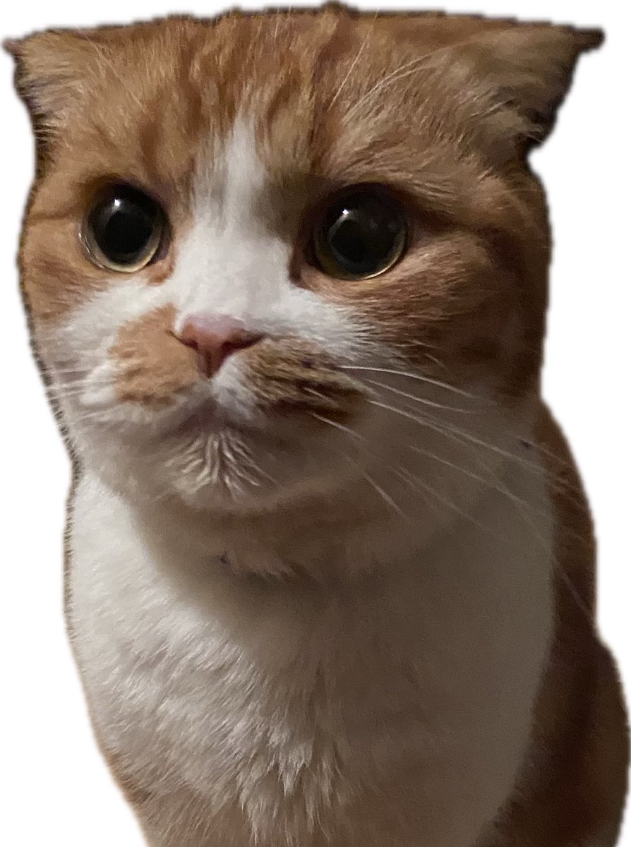 Webweb1K's tweet image. 