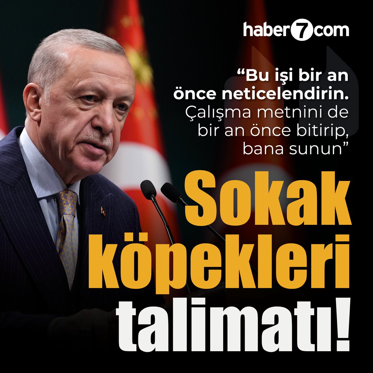Haber7's tweet image. 📝 Erdoğan kurmaylarına talimat verdi!

➥ AK Parti’nin MYK toplantısında gündeme gelen başıboş sokak köpekleri için Cumhurbaşkanı Erdoğan “Bu işi bir an önce neticelendirin. Çalışma metnini de bir an önce bitirip, bana sunun” dedi.

#RecepTayyipErdoğan #BaşıboşKöpekler #Haber…
