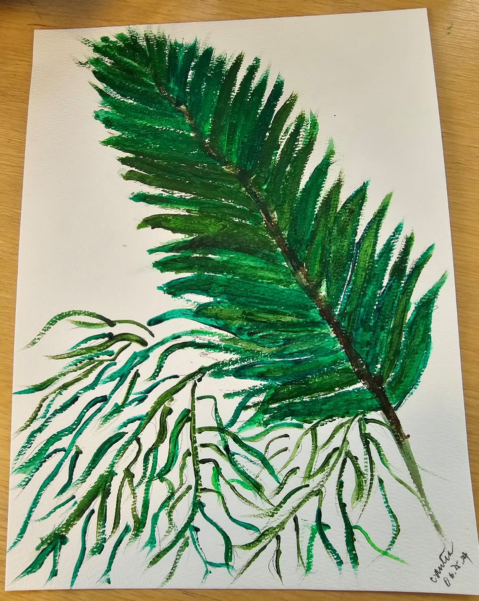 We had an incredible start to #NACCB2024 with a packed house at our Arts and Conservation session.  Thank you to everyone who joined #Vibrantforestlandscapeslab. Don't miss out tomorrow at the #BeatyBiodiversityMuseum —come help us create a beautiful mural! 🖌️🌸 @ubcforestry