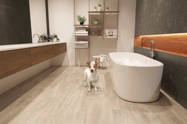 snout_in's tweet image. Top Five stories
1) thesnout.in/2024/06/24/bel…
2) thesnout.in/2024/06/23/fro…
3) thesnout.in/2024/06/22/5-t…
4) thesnout.in/2024/06/23/coc…
5) thesnout.in/2024/06/20/sma…

#topread #stories #houston #PetServices