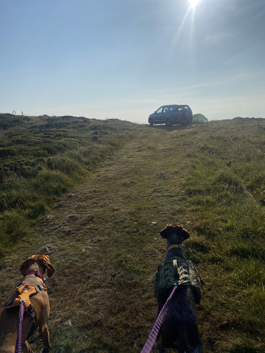 Dr Ioan Rees tweet media