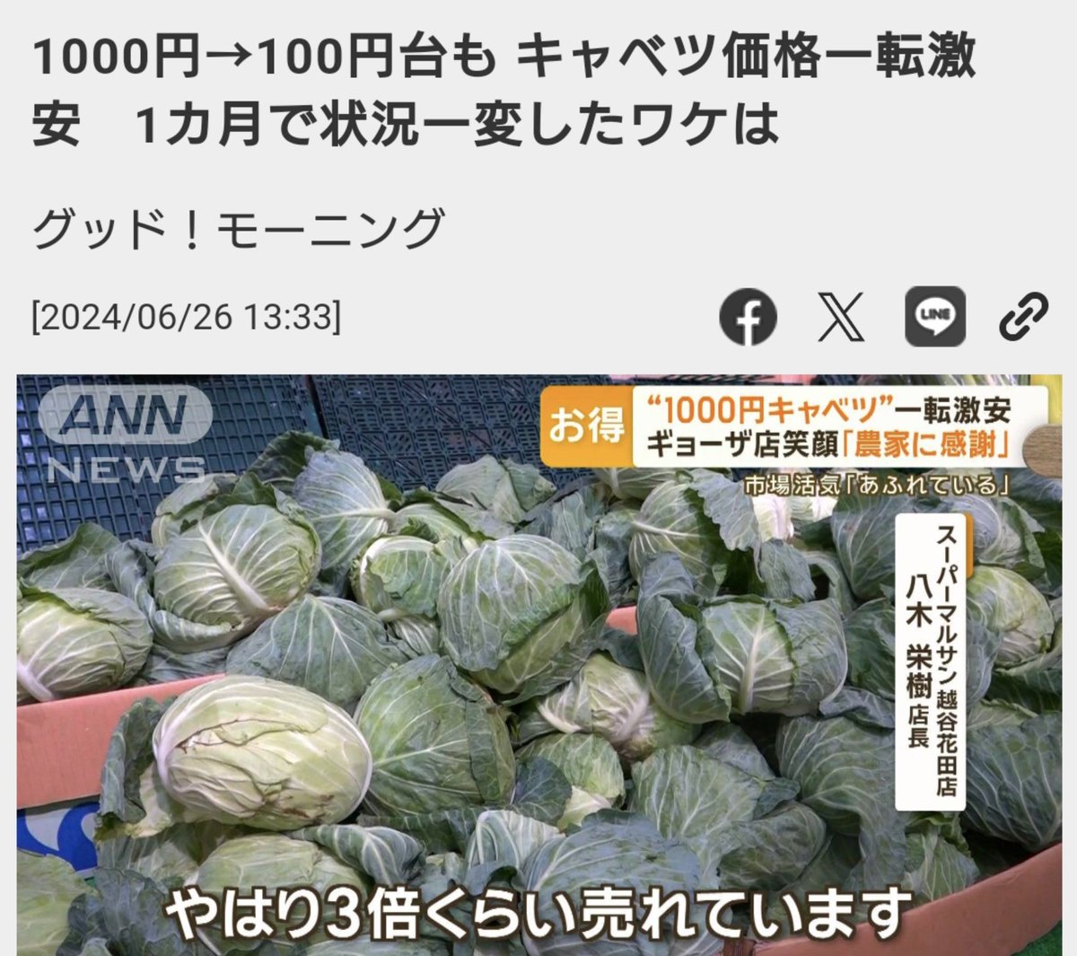 朗報】キャベツ転売ヤー、爆死 キャベツ転売で儲けようとキャベツを