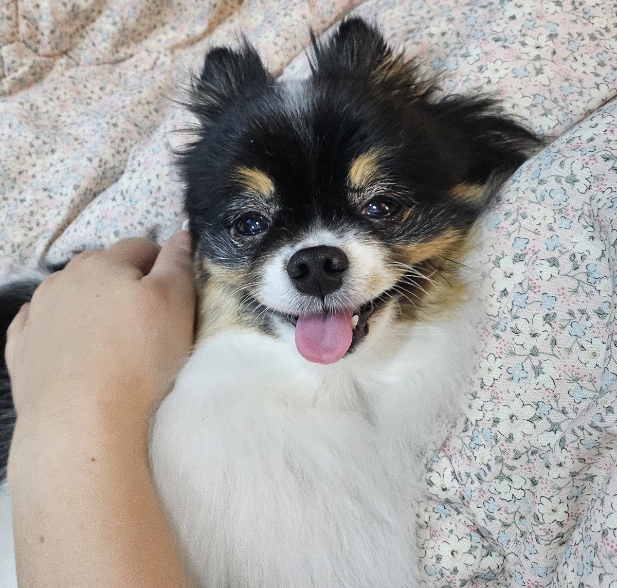 FORI_MINTHOLIC's tweet photo. 이긍 조아 https://t.co/4siOyCgweT