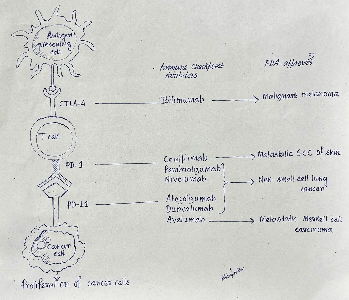 AbhijitSurgPath's tweet photo. Immune checkpoint inhibitors - basic facts for residents… https://t.co/cuZzULa4ik