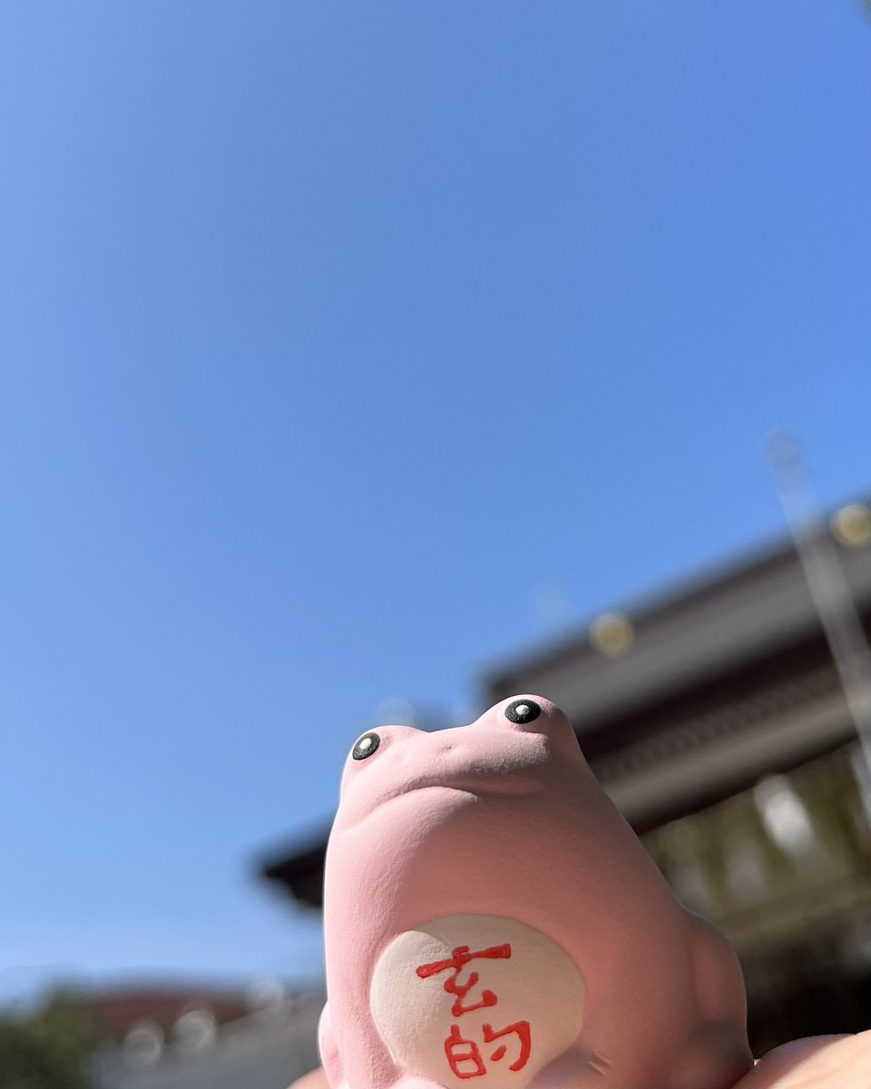 かえるみくじ 夏（ピンク） 数量限定で6月25日(火)より頒布します。 夏