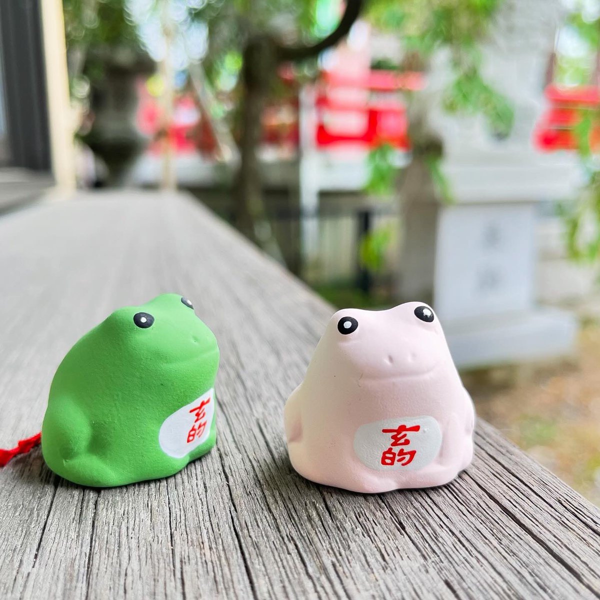 かえるみくじ 夏（ピンク） 数量限定で6月25日(火)より頒布します。 夏