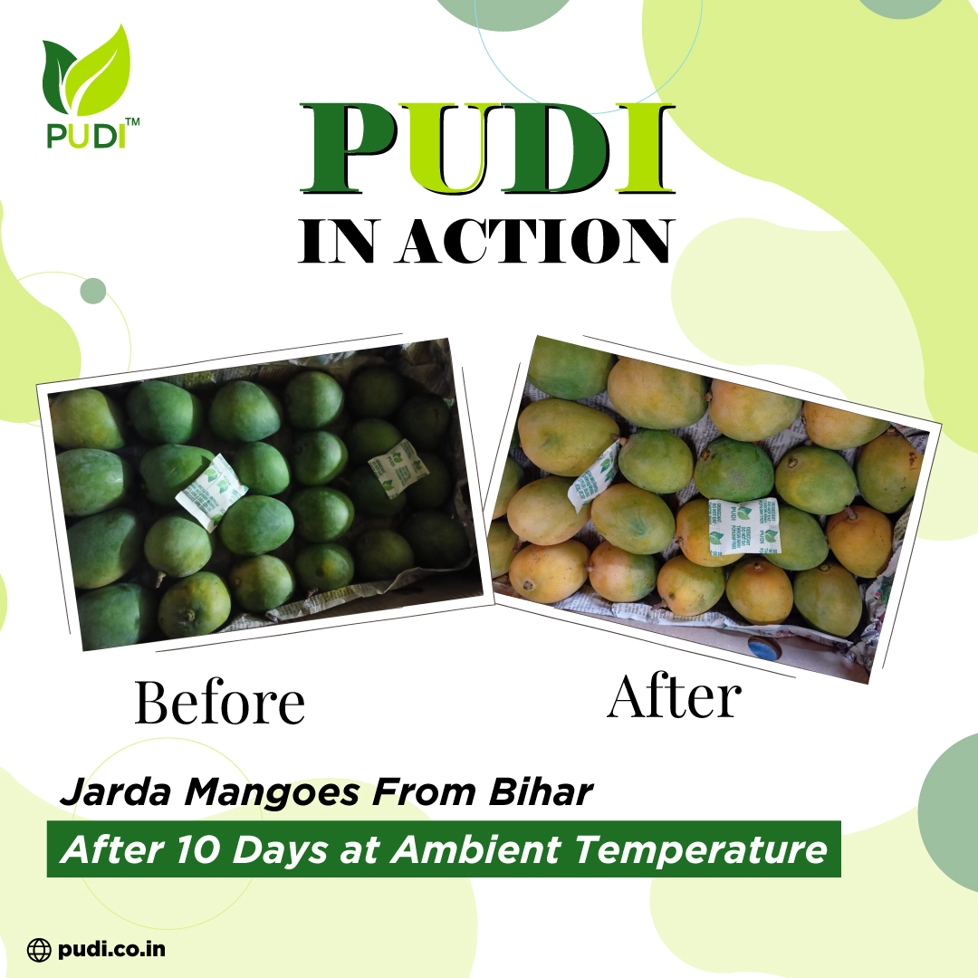 PUDI tweet media