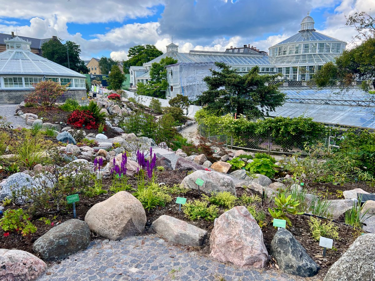 Peter C. Kjærgaard (@pckjaergaard) on Twitter photo Amazing last week in Copenhagen. New museum building done. New rhododendron garden in full bloom. Last exhibition before the new museum opens is ready.
Thanks to our wonderful staff. I'm extremely proud of what we've achieved during the past 9 years <a href="/NHM_Denmark/">NaturalHistoryDK</a> #GoldNotBronze Amazing last week in Copenhagen. New museum building done. New rhododendron garden in full bloom. Last exhibition before the new museum opens is ready.
Thanks to our wonderful staff. I'm extremely proud of what we've achieved during the past 9 years <a href="/NHM_Denmark/">NaturalHistoryDK</a> #GoldNotBronze