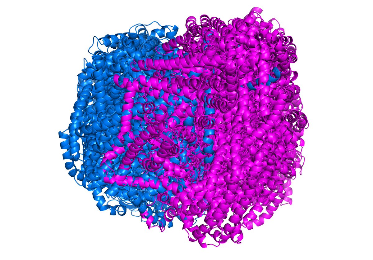 Alphafold3 models of BRCA1 interacting with PALB2. That's a lot of hallucination. The models are ~90% hallucinated alpha helices.