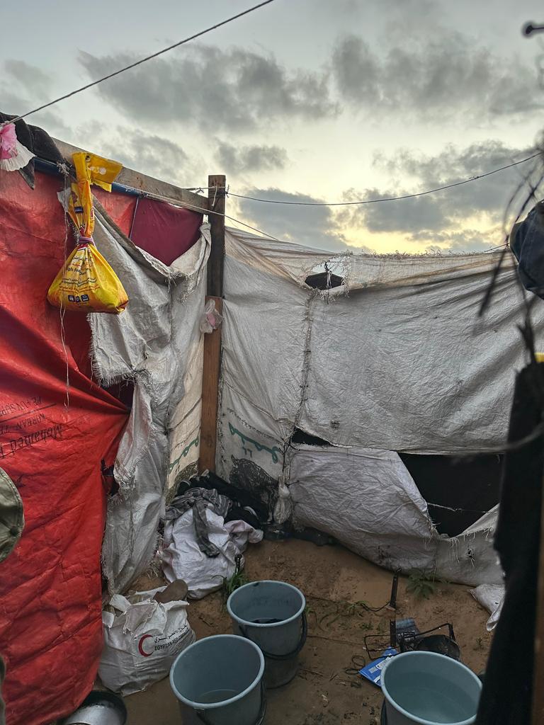 💞💖Mohamed mosa😽MO🐾 tweet media