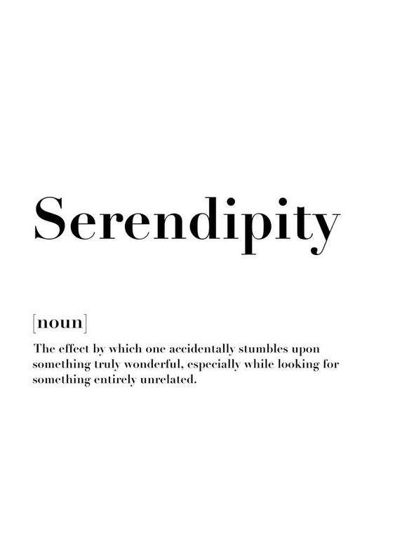 wordsporn's tweet photo. Serendipity https://t.co/zFOGtJHssi