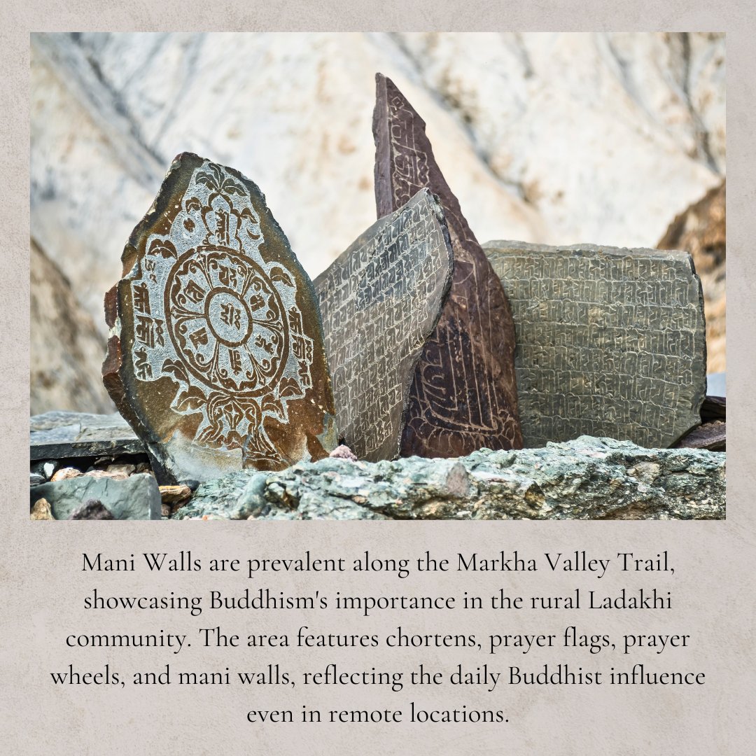 MyTourBox's tweet photo. Discover the Markha Valley Trek in Ladakh! Cross the Kongmaru La pass, visit charming villages, and camp under starry skies. Enjoy stunning Himalayan views and unique wildlife. 

#MyTourBox #MarkhaValleyTrek #Ladakh #TrekkingAdventures #NatureLovers #LadakhDiaries https://t.co/liR0wdT968