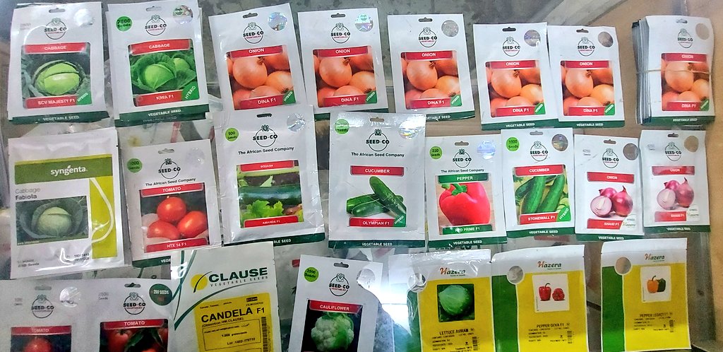 Mudumenwemari..Int'l tweet media