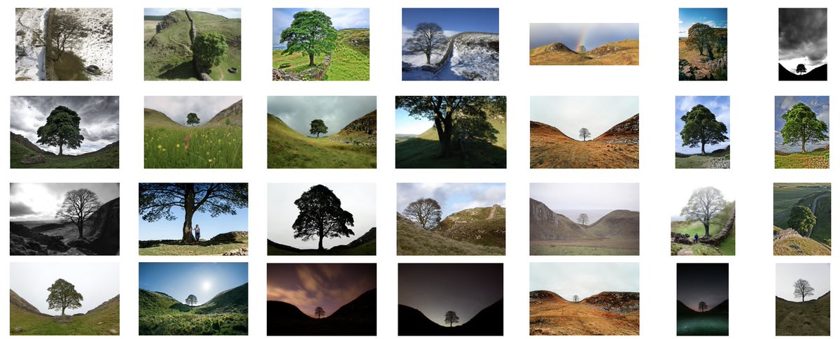 3DOMFBK's tweet image. *** The Legacy of the Sycamore Gap ***
Photogrammetric #AI for Reverse #Engineering Lost #Heritage with #Crowdsourced Images
isprs-archives.copernicus.org/articles/XLVII…
@FBK_research @UniofNewcastle #deeplearning @GeospatialCDT @GeospatialNCL
@nationaltrust @polimi @LabMGF