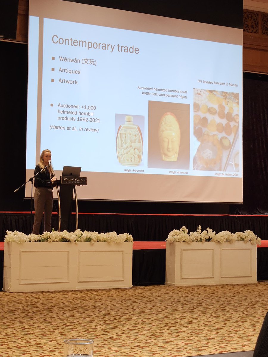 Chloe Hatten (@chloewebster19) on Twitter photo Honoured to have spoken to >150 delegates from >114 countries on #Helmeted #Hornbill #wildlifeforensics #enforcement #outreach & #speciesvictimimpactstatements work in #HongKong ๐ฆ
๐งฌ at #SWFS2024 <a href="/SWFS3/">SWFS</a> in #KualaLumpur
<a href="/hku_science/">HKU_Science</a>
<a href="/cfl_hku/">Conservation Forensics @HKU</a>
<a href="/HKUniversity/">The University of Hong Kong</a>
#HKU #FacultyofLaw Honoured to have spoken to >150 delegates from >114 countries on #Helmeted #Hornbill #wildlifeforensics #enforcement #outreach & #speciesvictimimpactstatements work in #HongKong ๐ฆ
๐งฌ at #SWFS2024 <a href="/SWFS3/">SWFS</a> in #KualaLumpur
<a href="/hku_science/">HKU_Science</a>
<a href="/cfl_hku/">Conservation Forensics @HKU</a>
<a href="/HKUniversity/">The University of Hong Kong</a>
#HKU #FacultyofLaw
