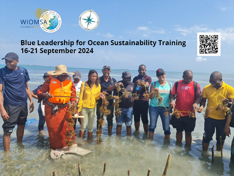 Calling all ocean professionals! <a href="/wiomsa/">WIOMSA</a> is welcoming applications for a 6-day in-person workshop, “Blue Leadership for Ocean Sustainability” running from 16th-21st September 2024 in Zanzibar.

Apply by 30 June: ow.ly/6IQE50SkXci