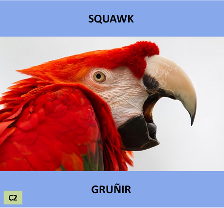 EClementeIngles's tweet photo. #VocGeneralECI
("Squawk" = "Gruñir") (El sonido emitido por esa gente desagradable y protestona que nos recuerda a un pajarraco graznando.)
Pron.: /skwɔːk/
(https://t.co/eHcNvLVjrl) https://t.co/cYWQQxQ8L7
