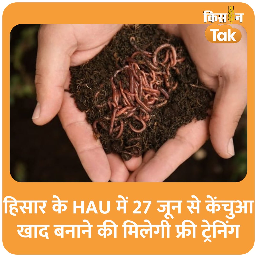 KisanTakChannel's tweet image. हिसार के HAU में 27 जून से केंचुआ खाद बनाने की मिलेगी फ्री ट्रेनिंग, रजिस्ट्रेशन के लिए आधार कार्ड जरूरी
#husar #HAU #haryana #vermicompost #agriculture #kisantak 
kisantak.in/news/trending/…