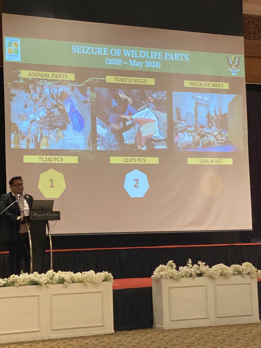 #SarawakForestryCorporation have a lot on their hands! So much #endangeredwildlife been seized there over the last few years. 

Glad to hear of the newly developed #wildlifeforensic lab at #SFC to help tackle #wildlifecrime in Sarawak, Malaysia 🐸 🐘 🐯 🦅 👏🏼