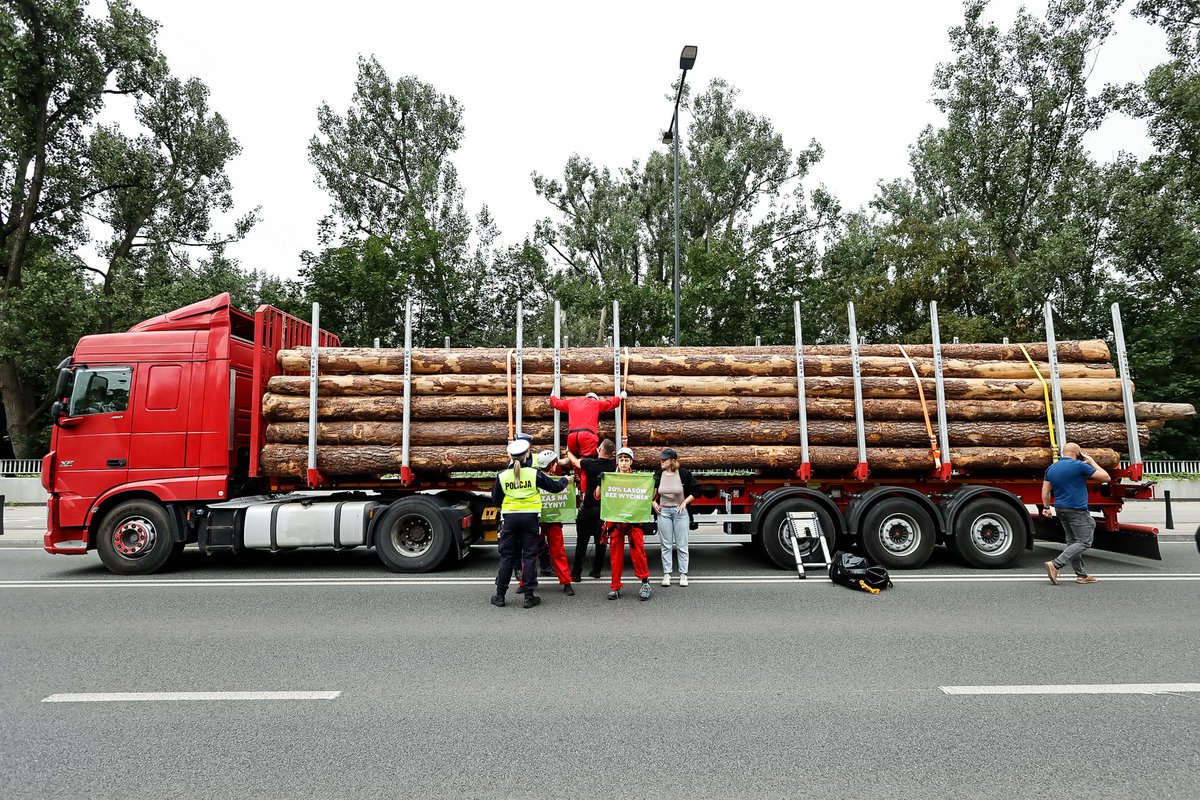 Maya Ozbayoglu tweet media