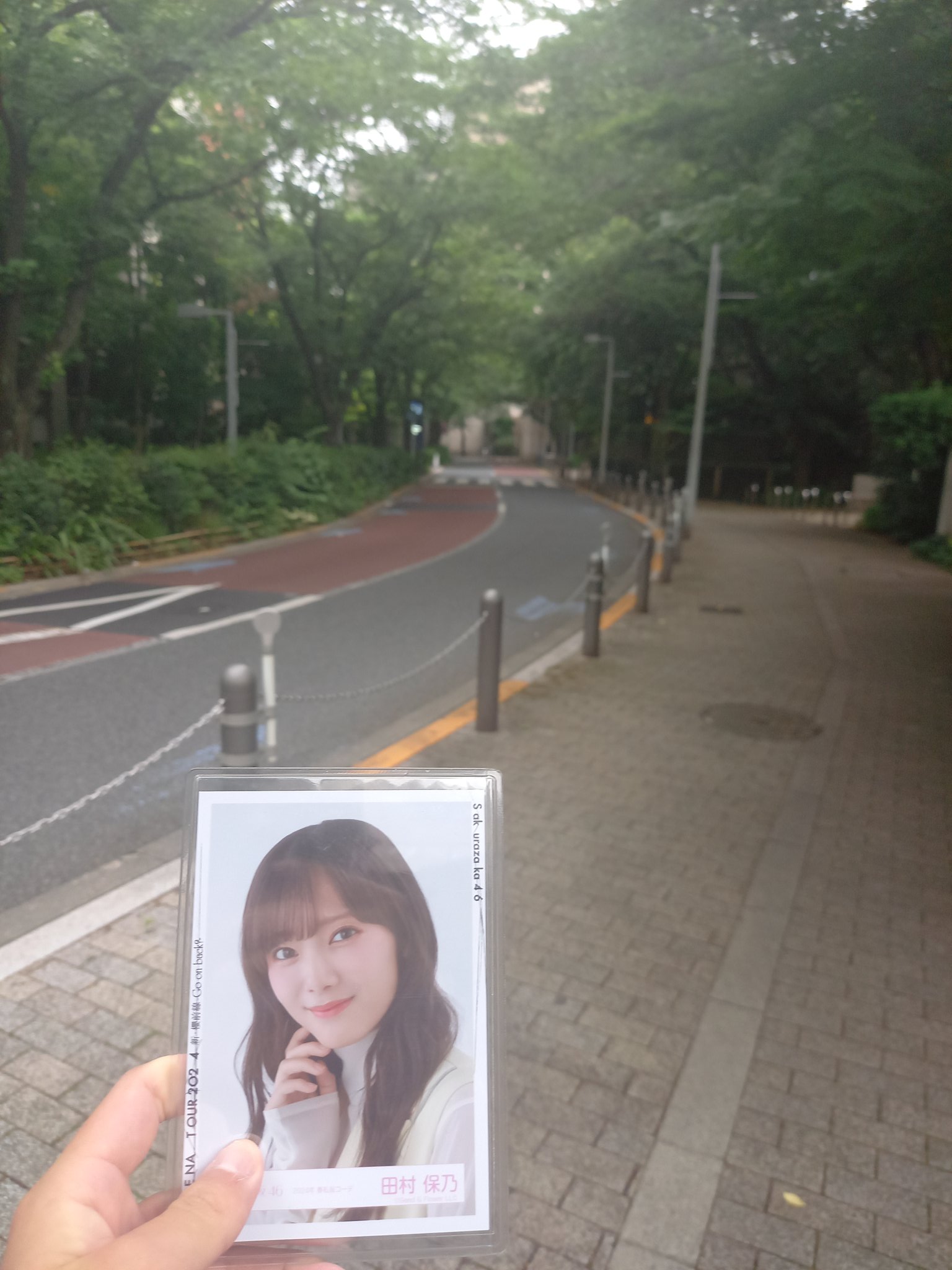 きぃ☆お値引きコメント大歓迎です⭐️ MAM on X: 