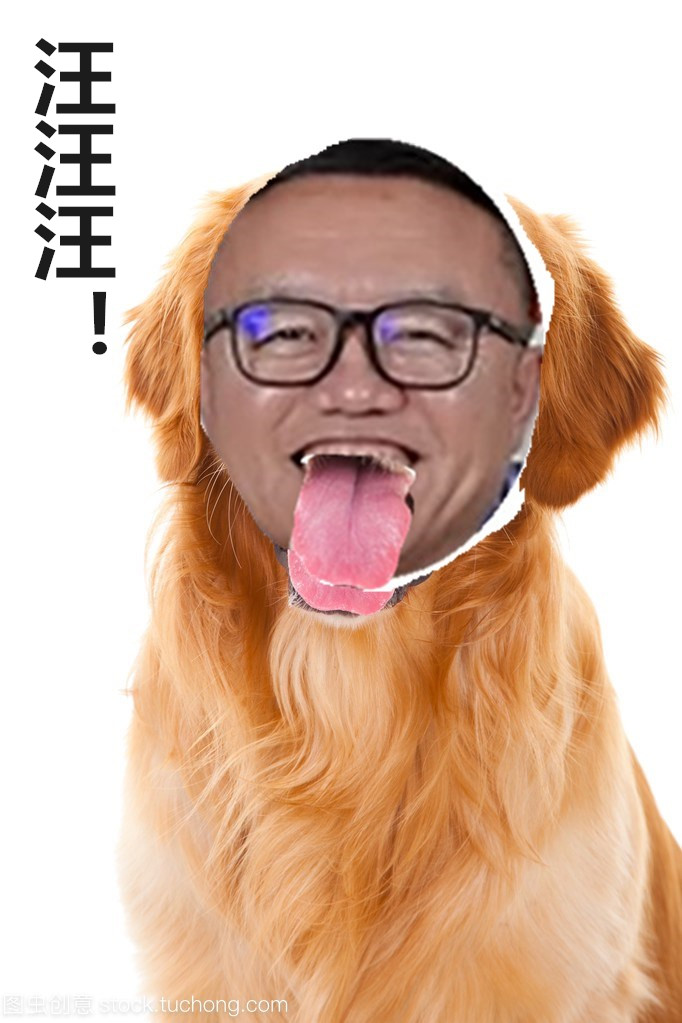 狗灯