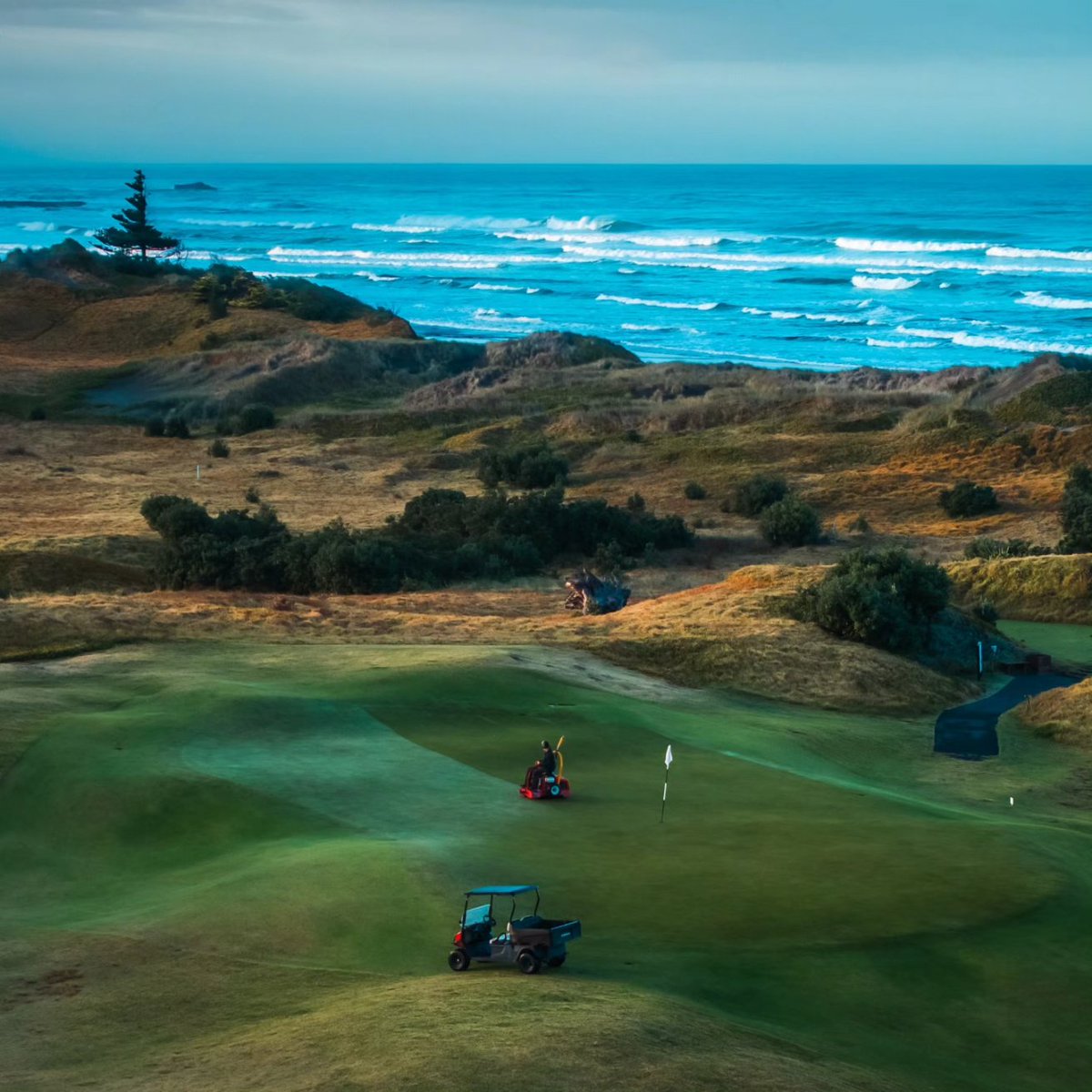 Harry Middleton tweet media