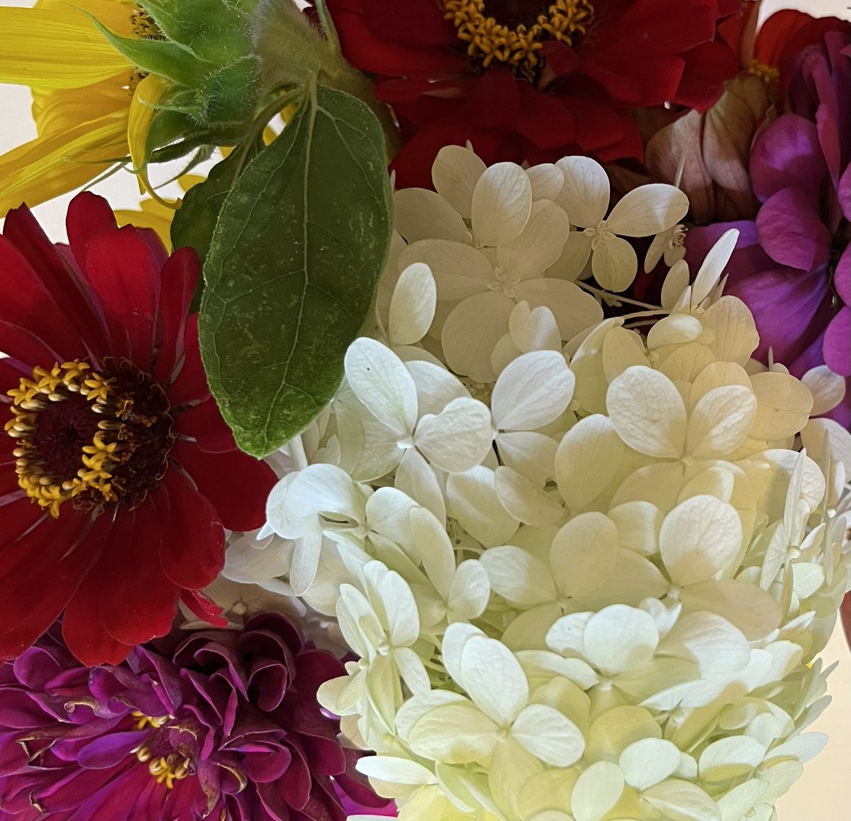 Sunday serenity: Admiring a bouquet of flowers from my sister-in-law’s stunning garden 

#sundayserenity #flowers #garden
