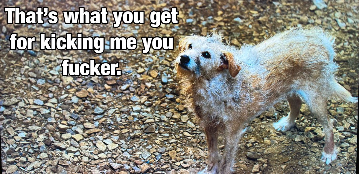 Anthony360214's tweet photo. If you know you know. Justice for the rat catchers dog has been served. #HouseofThedragon #HOD #HBO https://t.co/EKUXiv0kbs