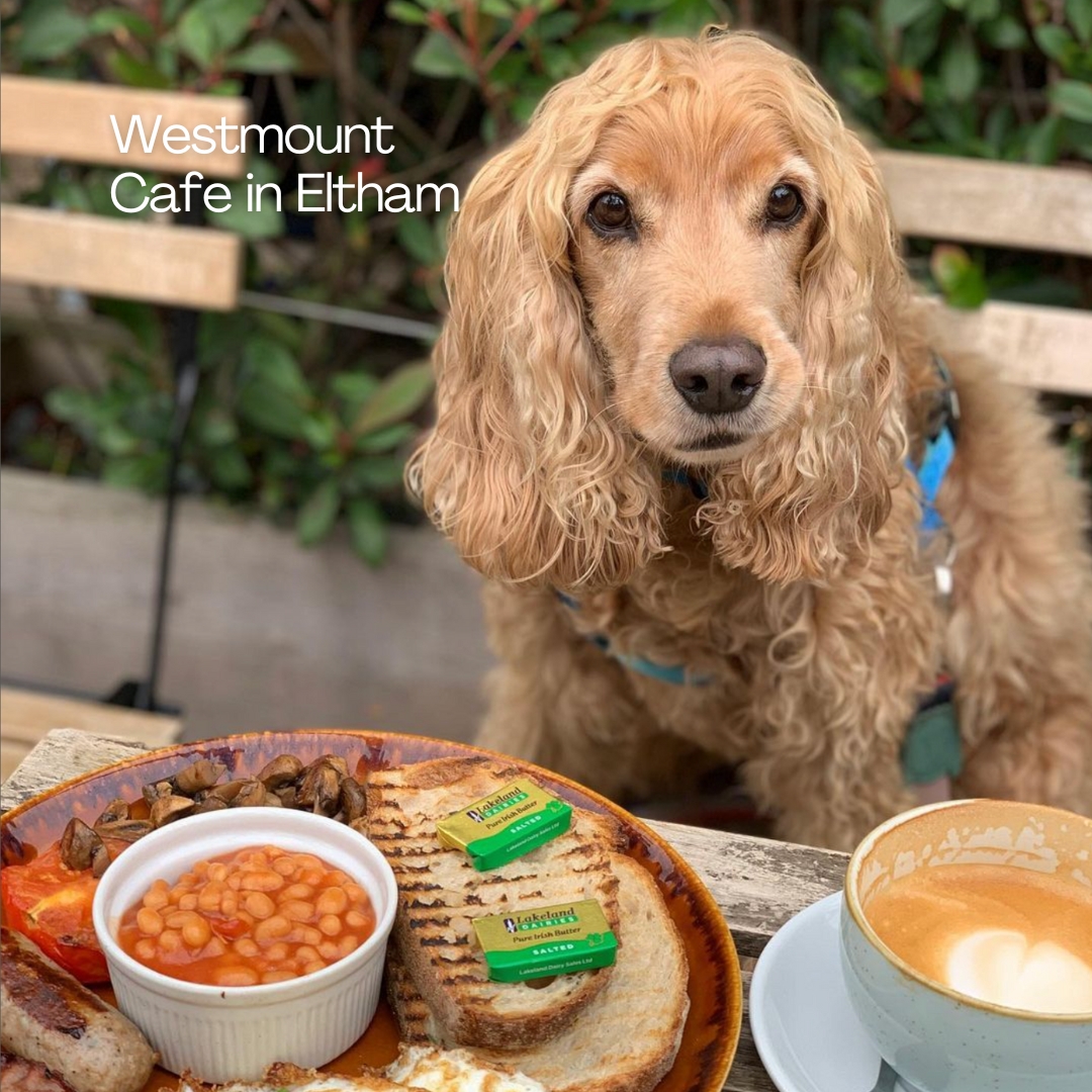 The Acorn Group tweet media