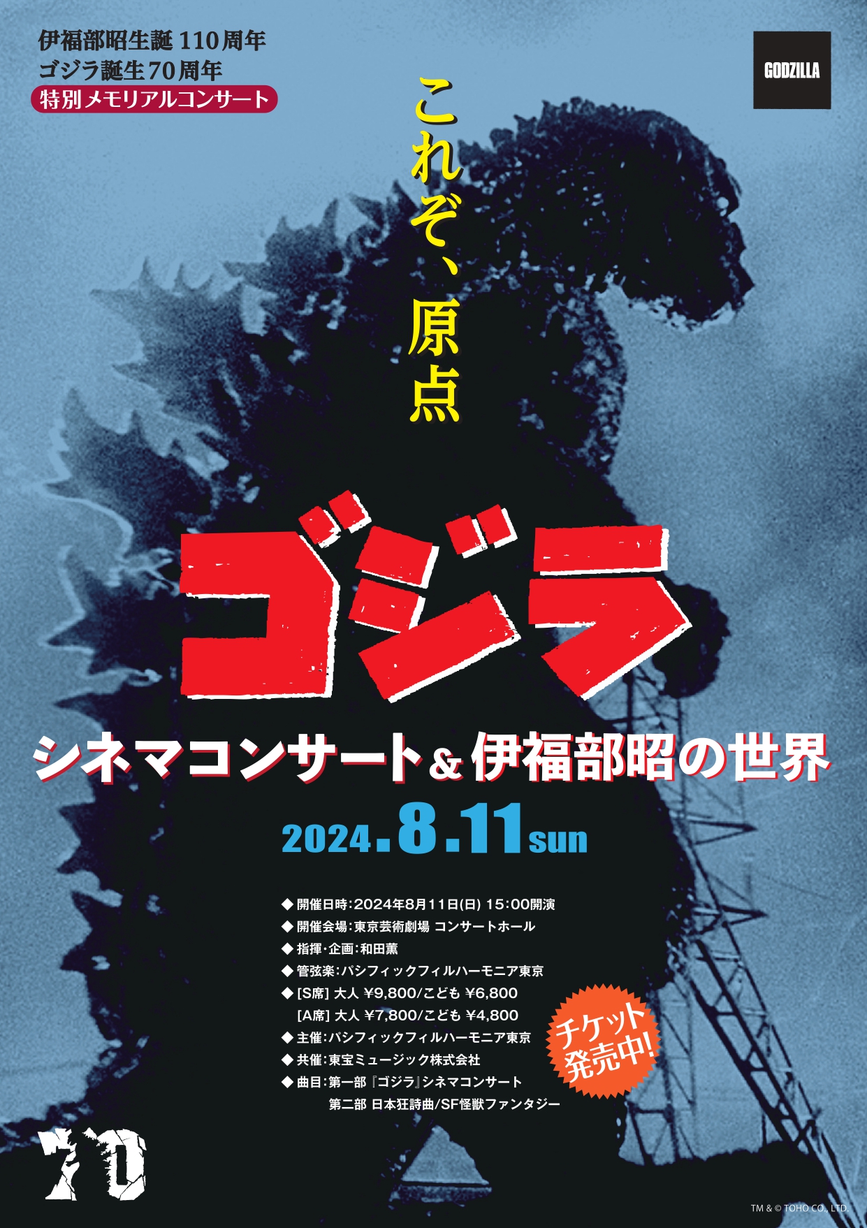 希少'66WC大会・FIFA公式映画 VHS