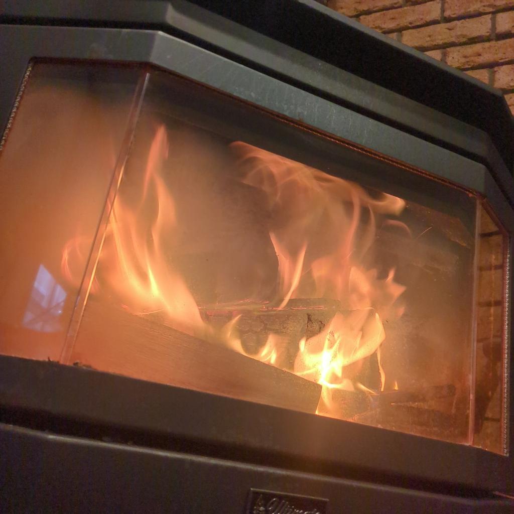 VisualScientist tweet media